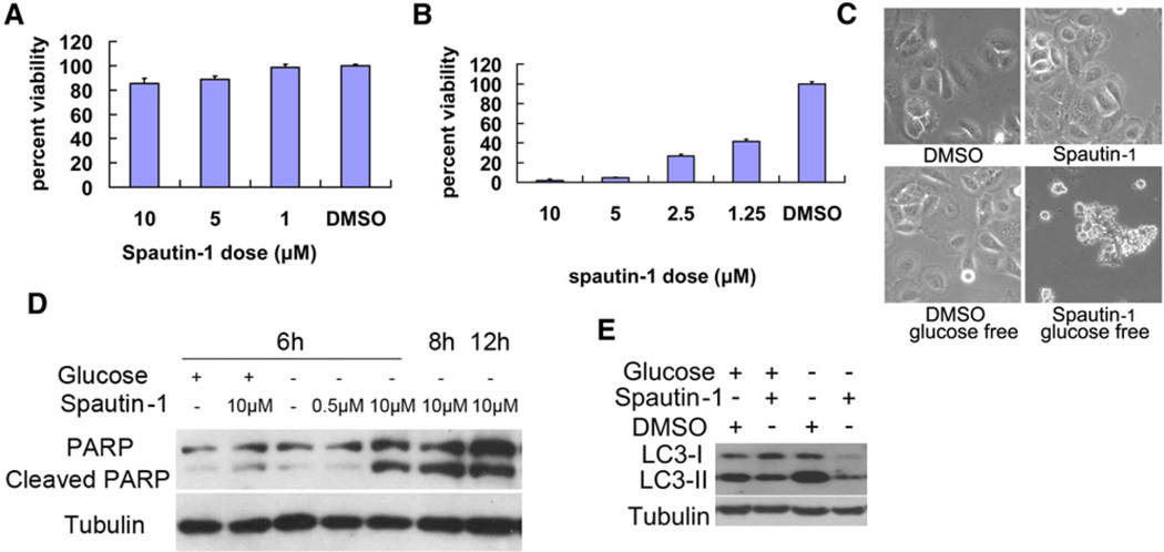 SPAUTIN-1