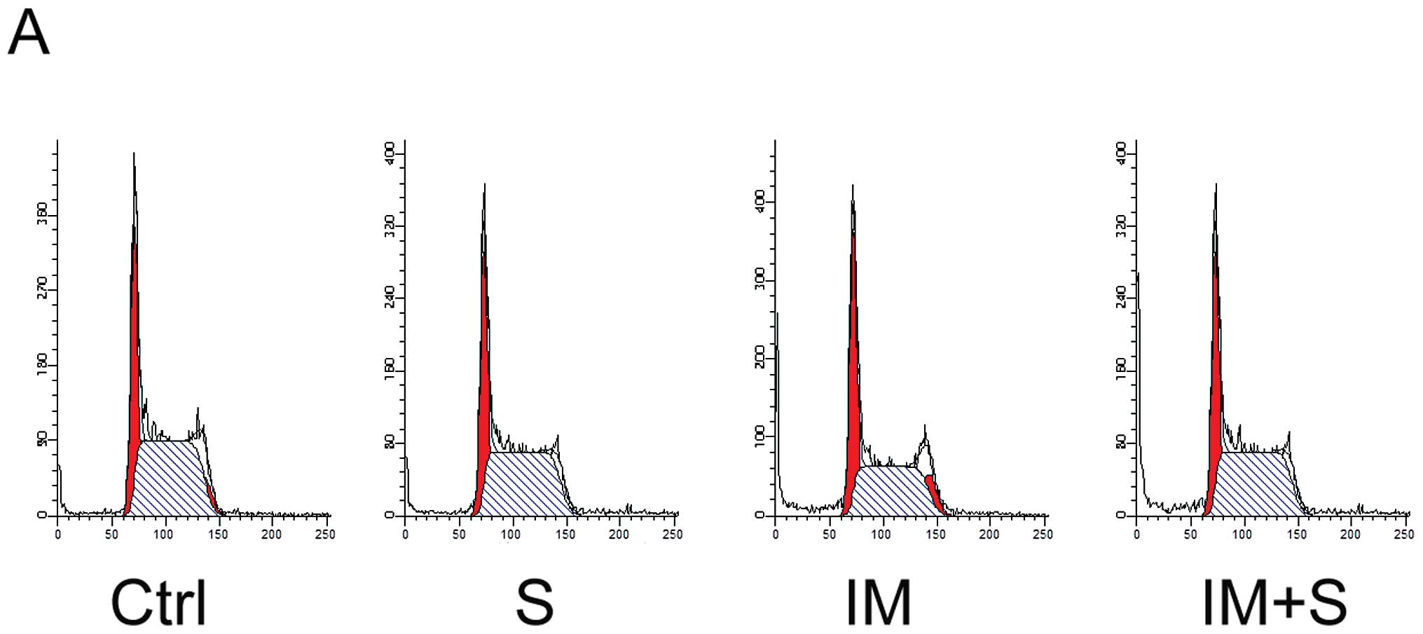 SPAUTIN-1