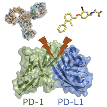 PD-1/PD-L1 inhibitor 2