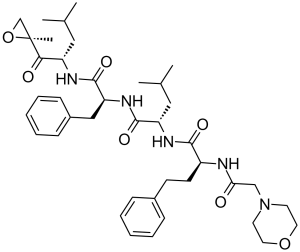 CARFILZOMIB (PR-171) | Irreversible Proteasome Inhibitor | CAS 868540 ...